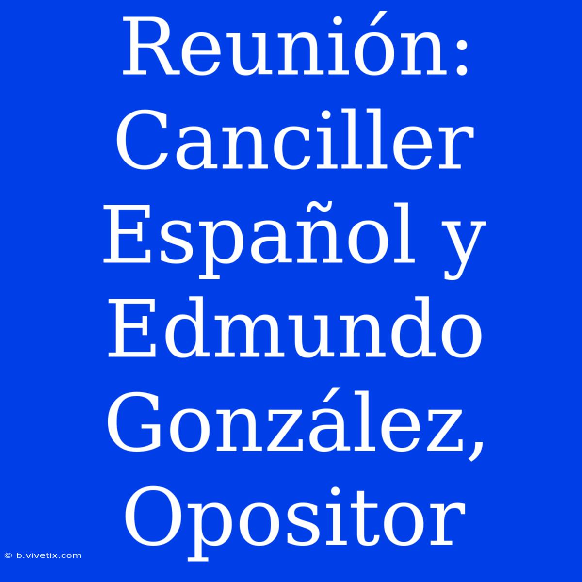 Reunión: Canciller Español Y Edmundo González, Opositor