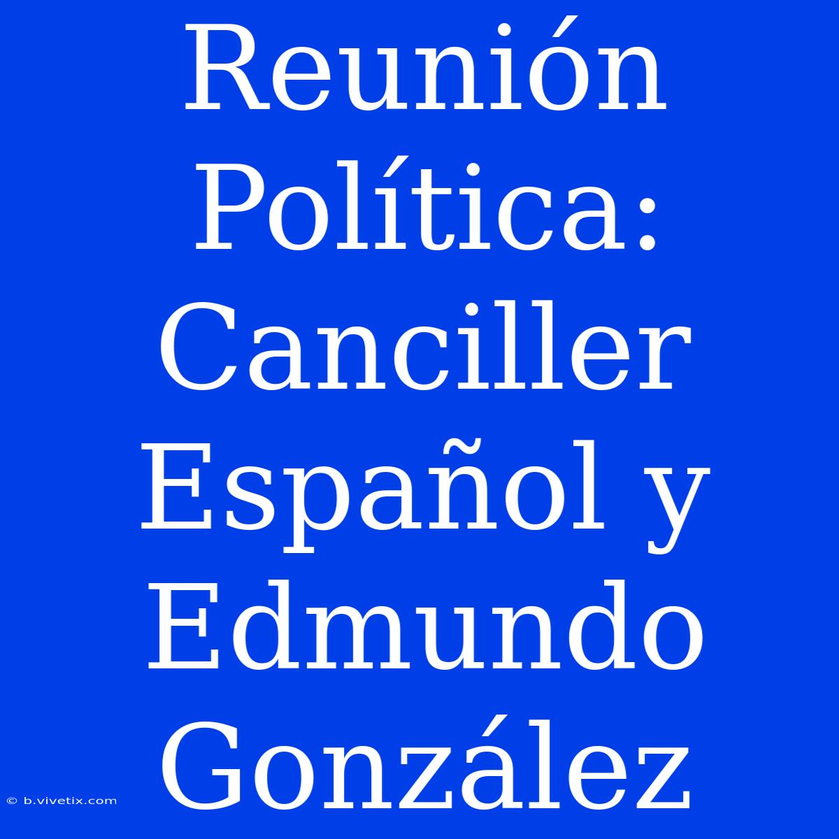 Reunión Política: Canciller Español Y Edmundo González 