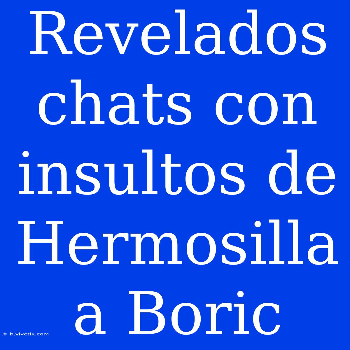 Revelados Chats Con Insultos De Hermosilla A Boric