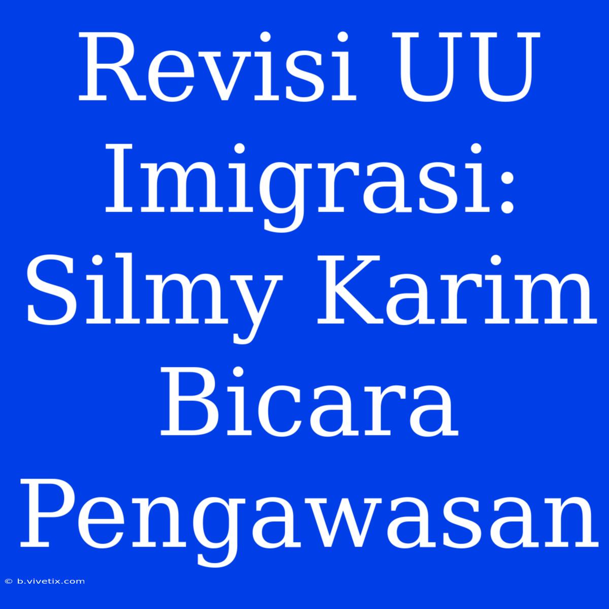 Revisi UU Imigrasi: Silmy Karim Bicara Pengawasan