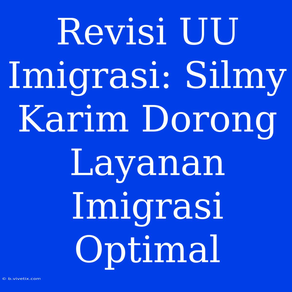 Revisi UU Imigrasi: Silmy Karim Dorong Layanan Imigrasi Optimal