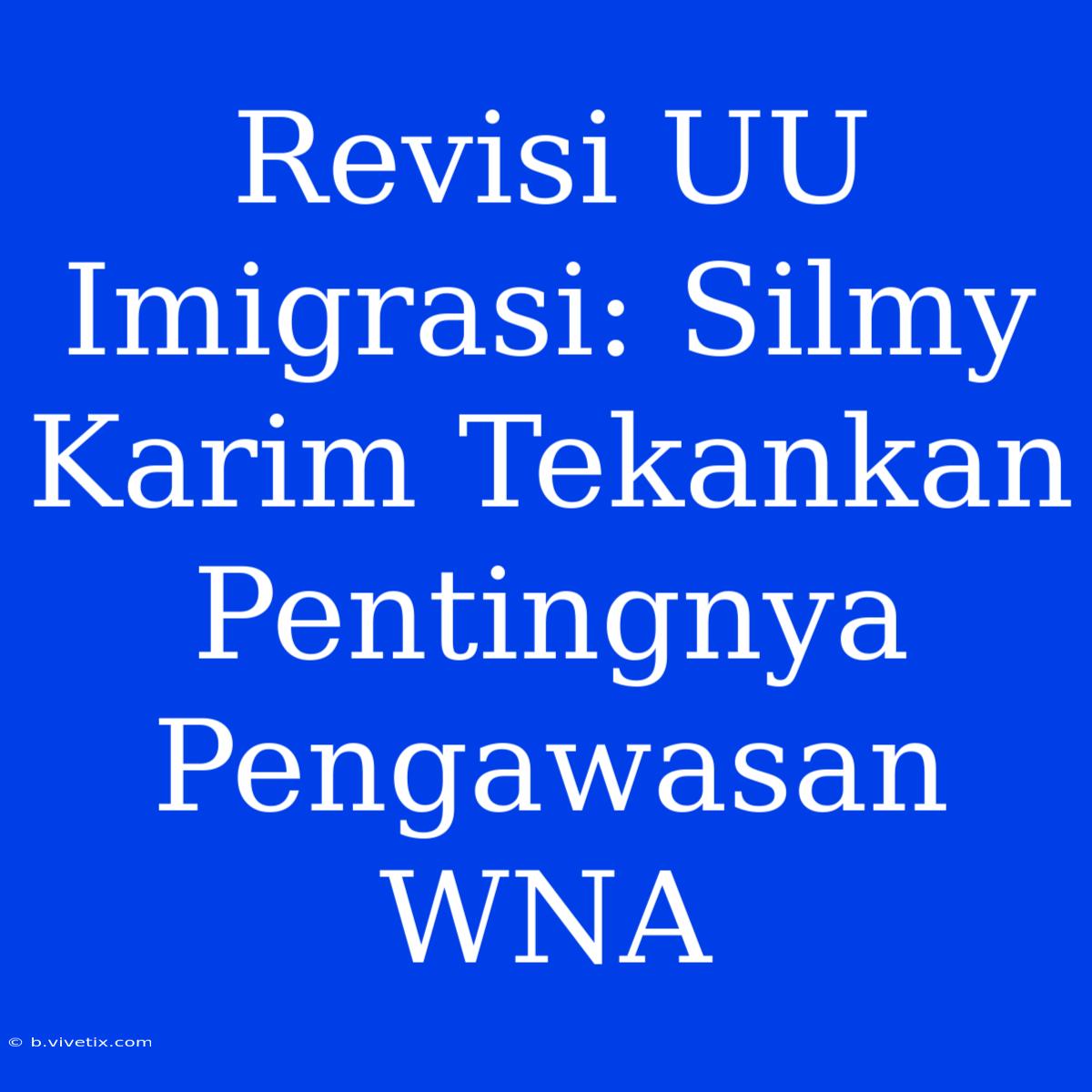 Revisi UU Imigrasi: Silmy Karim Tekankan Pentingnya Pengawasan WNA