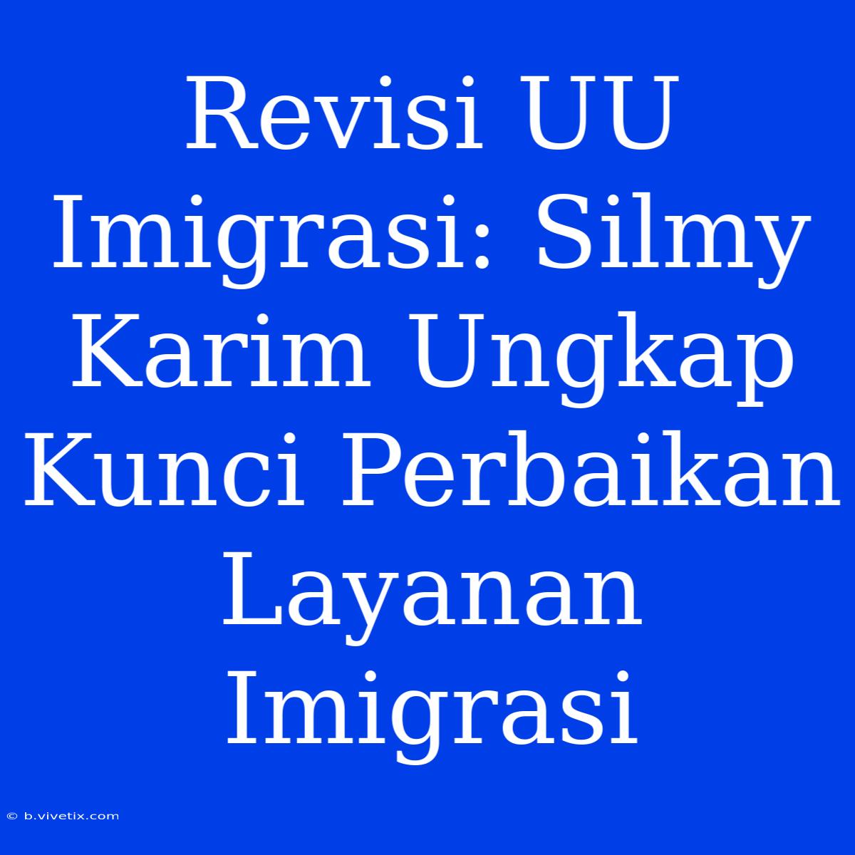 Revisi UU Imigrasi: Silmy Karim Ungkap Kunci Perbaikan Layanan Imigrasi