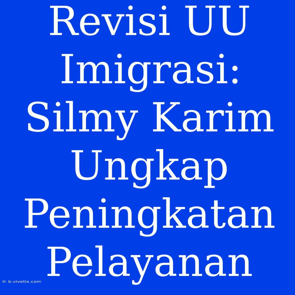 Revisi UU Imigrasi: Silmy Karim Ungkap Peningkatan Pelayanan