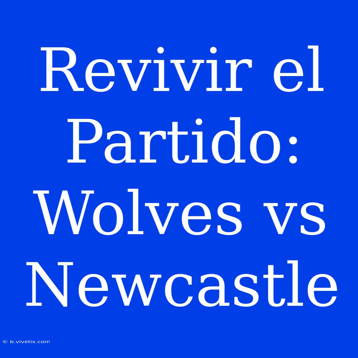 Revivir El Partido: Wolves Vs Newcastle