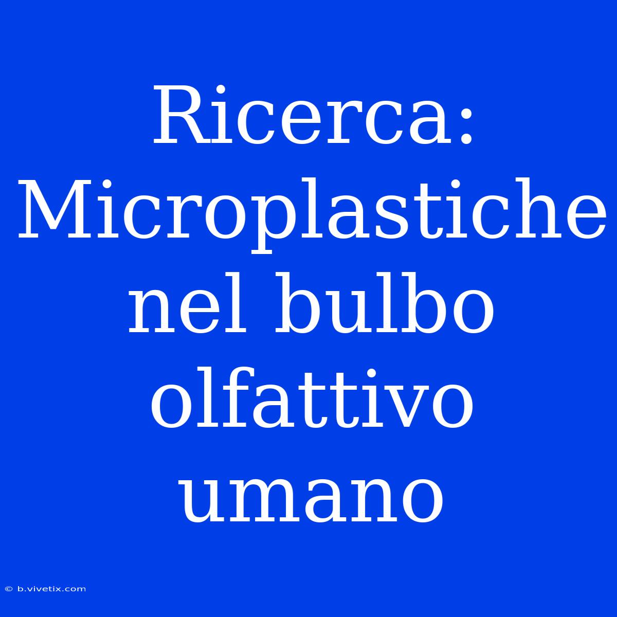 Ricerca: Microplastiche Nel Bulbo Olfattivo Umano