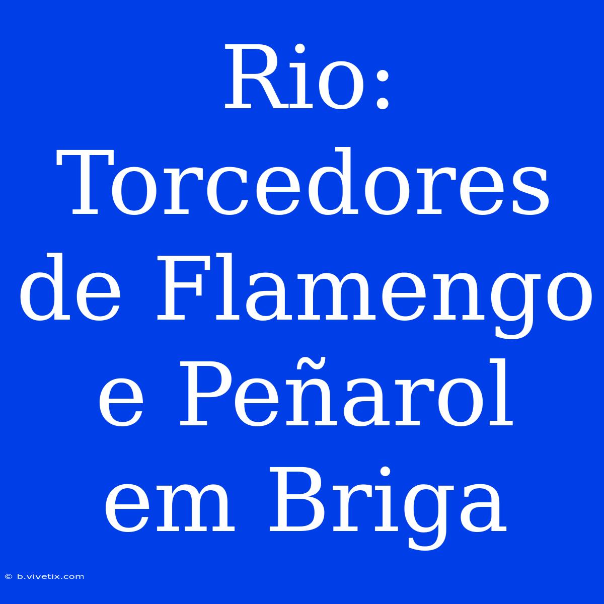 Rio: Torcedores De Flamengo E Peñarol Em Briga