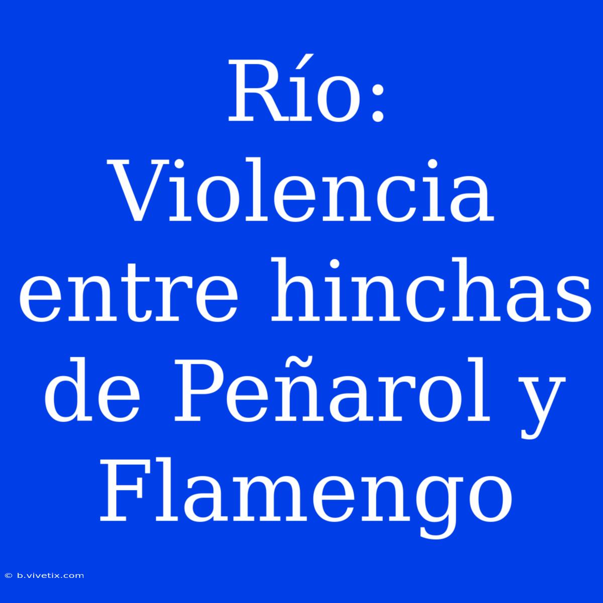 Río:  Violencia Entre Hinchas De Peñarol Y Flamengo