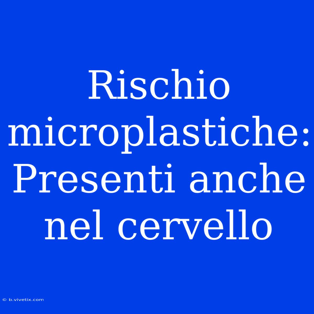 Rischio Microplastiche: Presenti Anche Nel Cervello