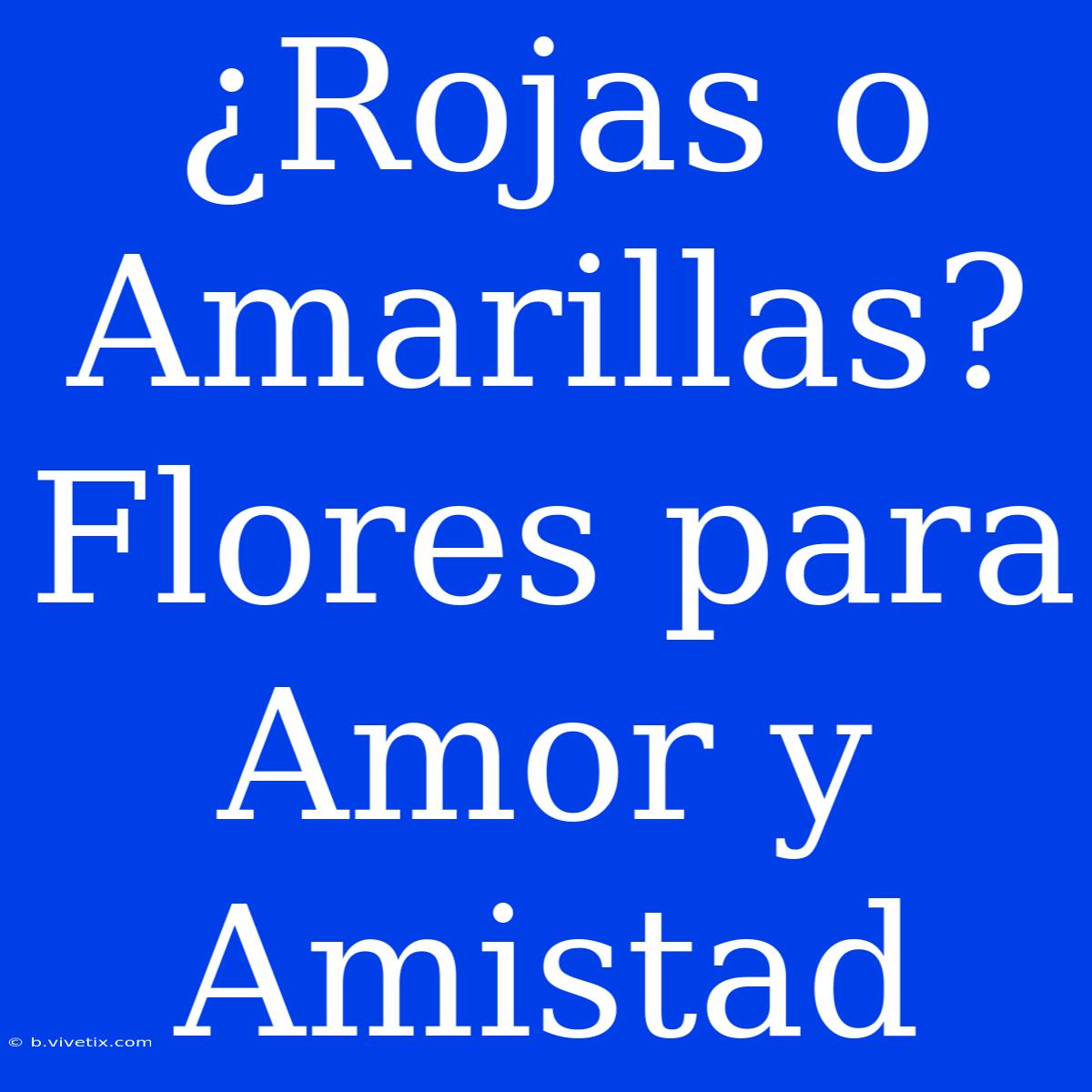 ¿Rojas O Amarillas? Flores Para Amor Y Amistad