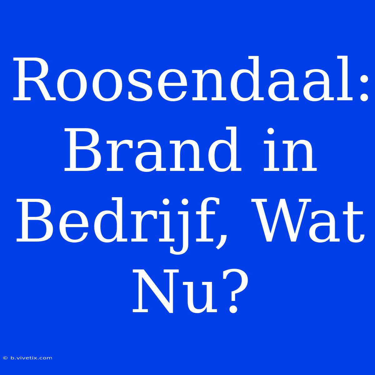 Roosendaal: Brand In Bedrijf, Wat Nu?