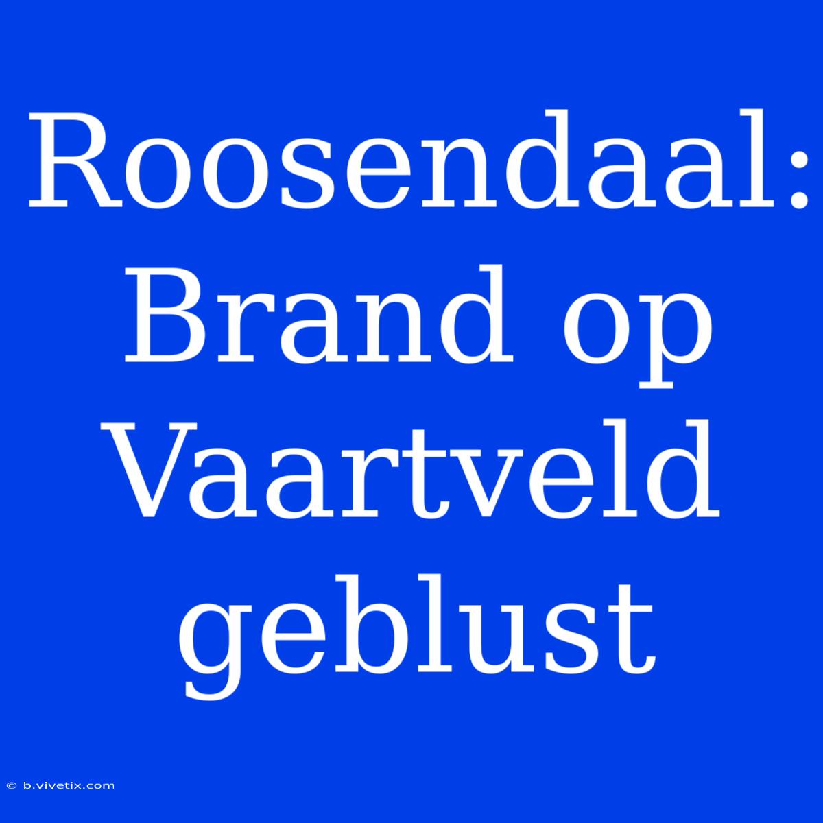 Roosendaal: Brand Op Vaartveld Geblust