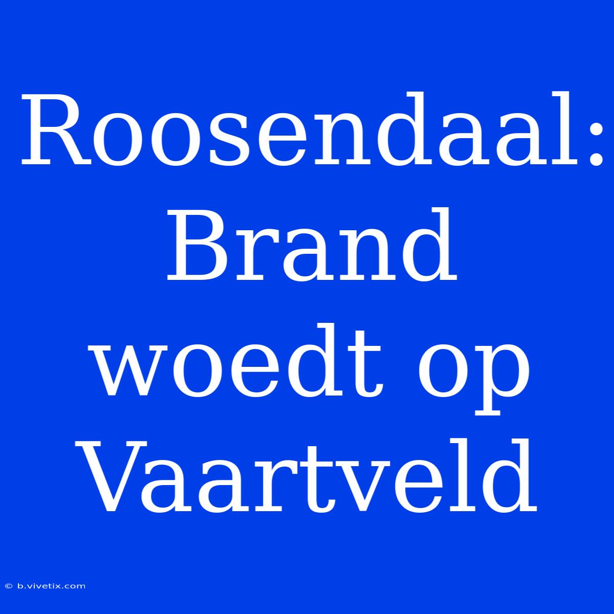 Roosendaal: Brand Woedt Op Vaartveld