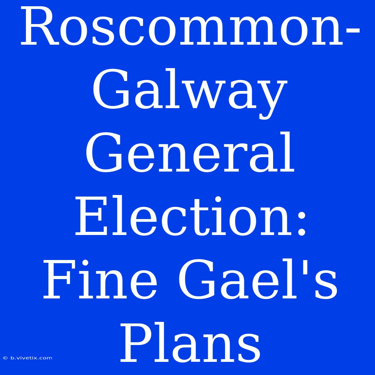 Roscommon-Galway General Election: Fine Gael's Plans