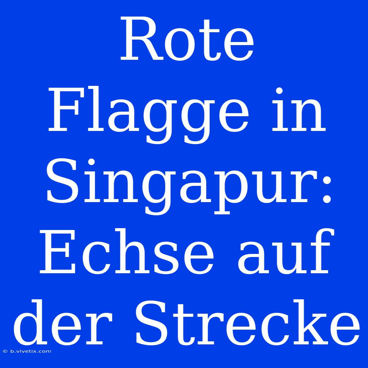 Rote Flagge In Singapur: Echse Auf Der Strecke