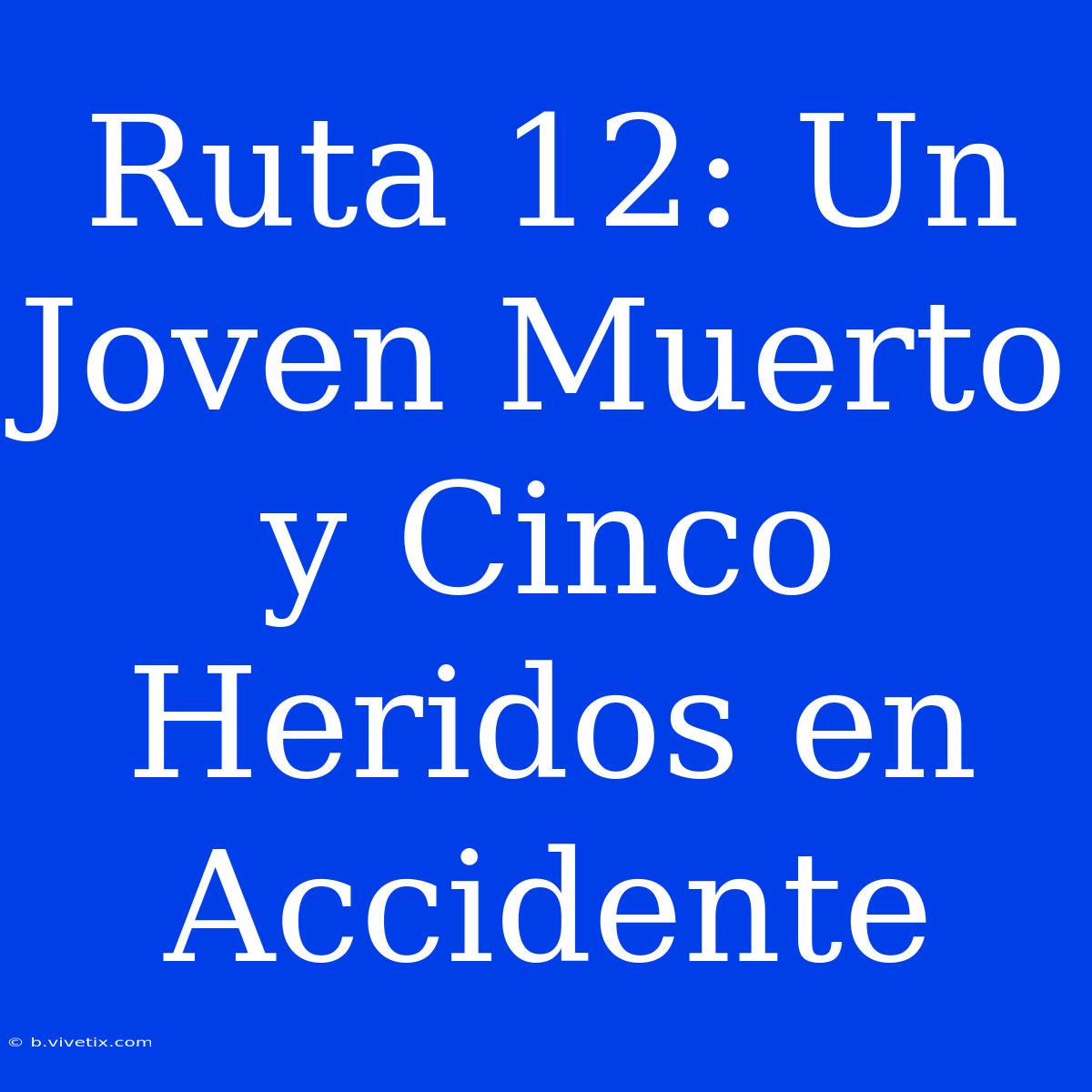 Ruta 12: Un Joven Muerto Y Cinco Heridos En Accidente