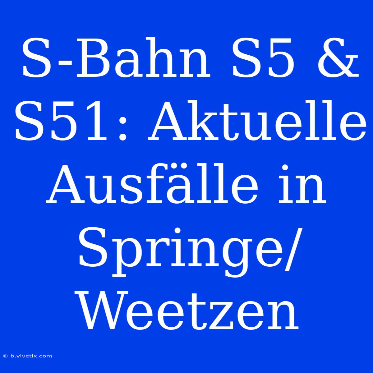 S-Bahn S5 & S51: Aktuelle Ausfälle In Springe/Weetzen