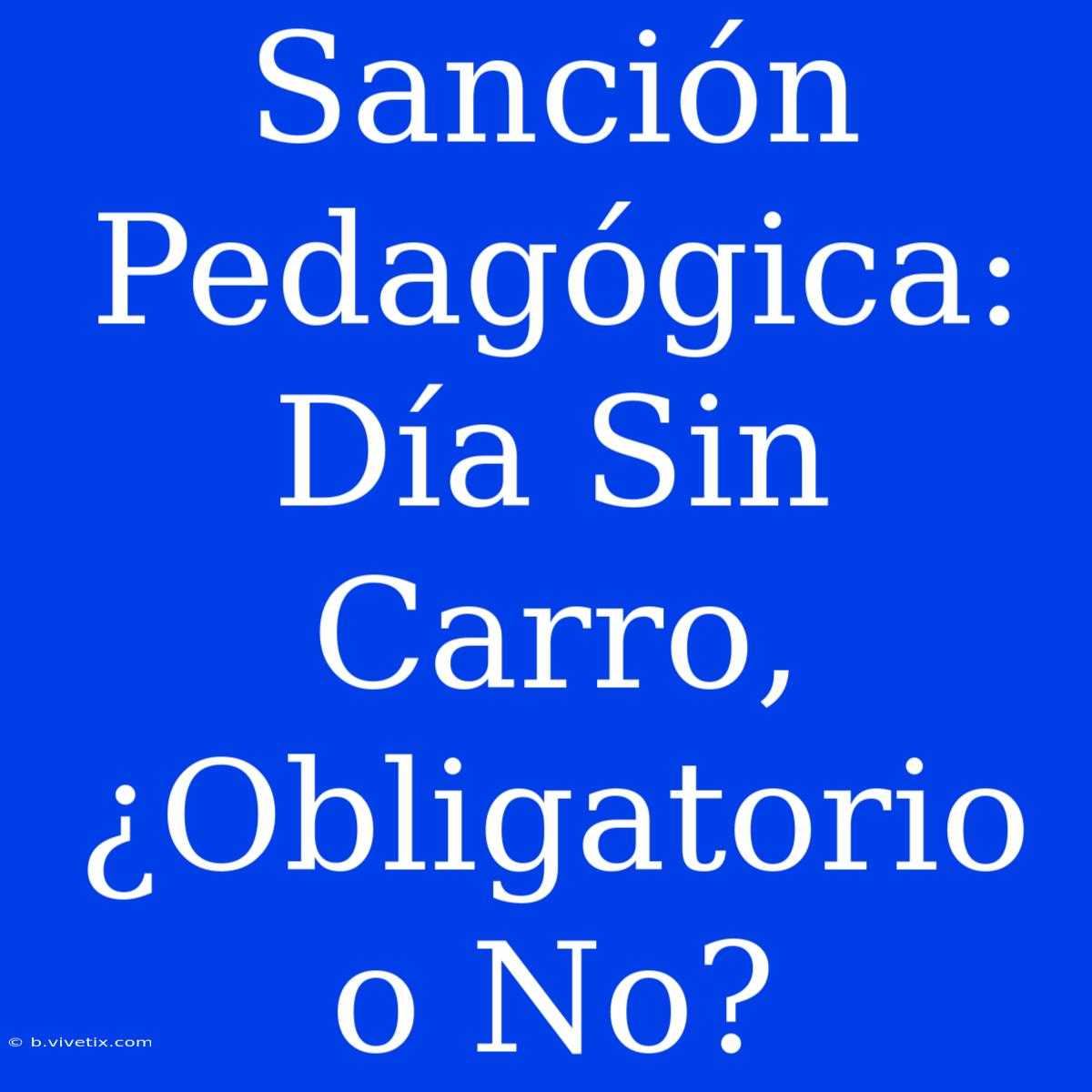 Sanción Pedagógica: Día Sin Carro, ¿Obligatorio O No?