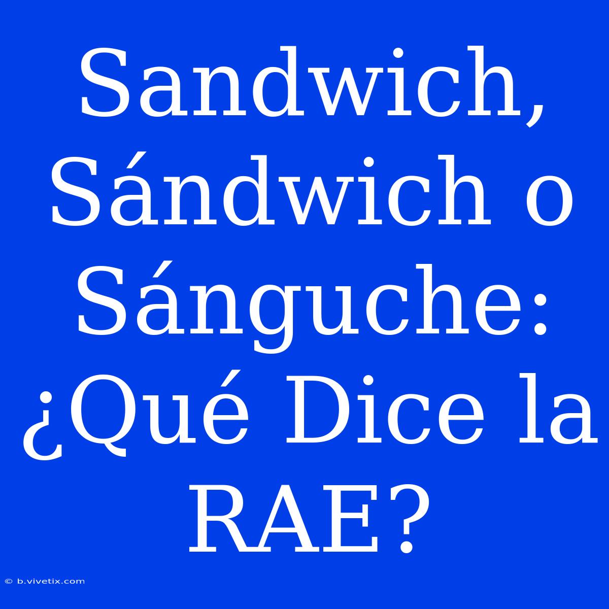 Sandwich, Sándwich O Sánguche: ¿Qué Dice La RAE?