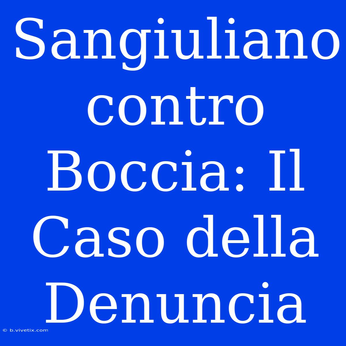 Sangiuliano Contro Boccia: Il Caso Della Denuncia