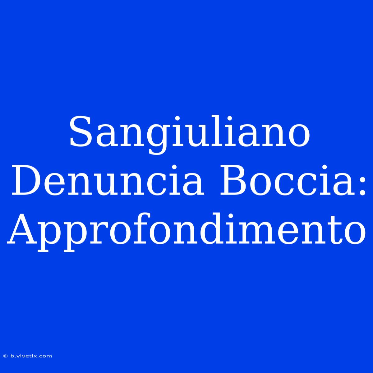 Sangiuliano Denuncia Boccia: Approfondimento 