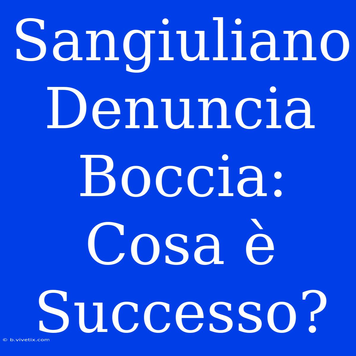 Sangiuliano Denuncia Boccia: Cosa È Successo?