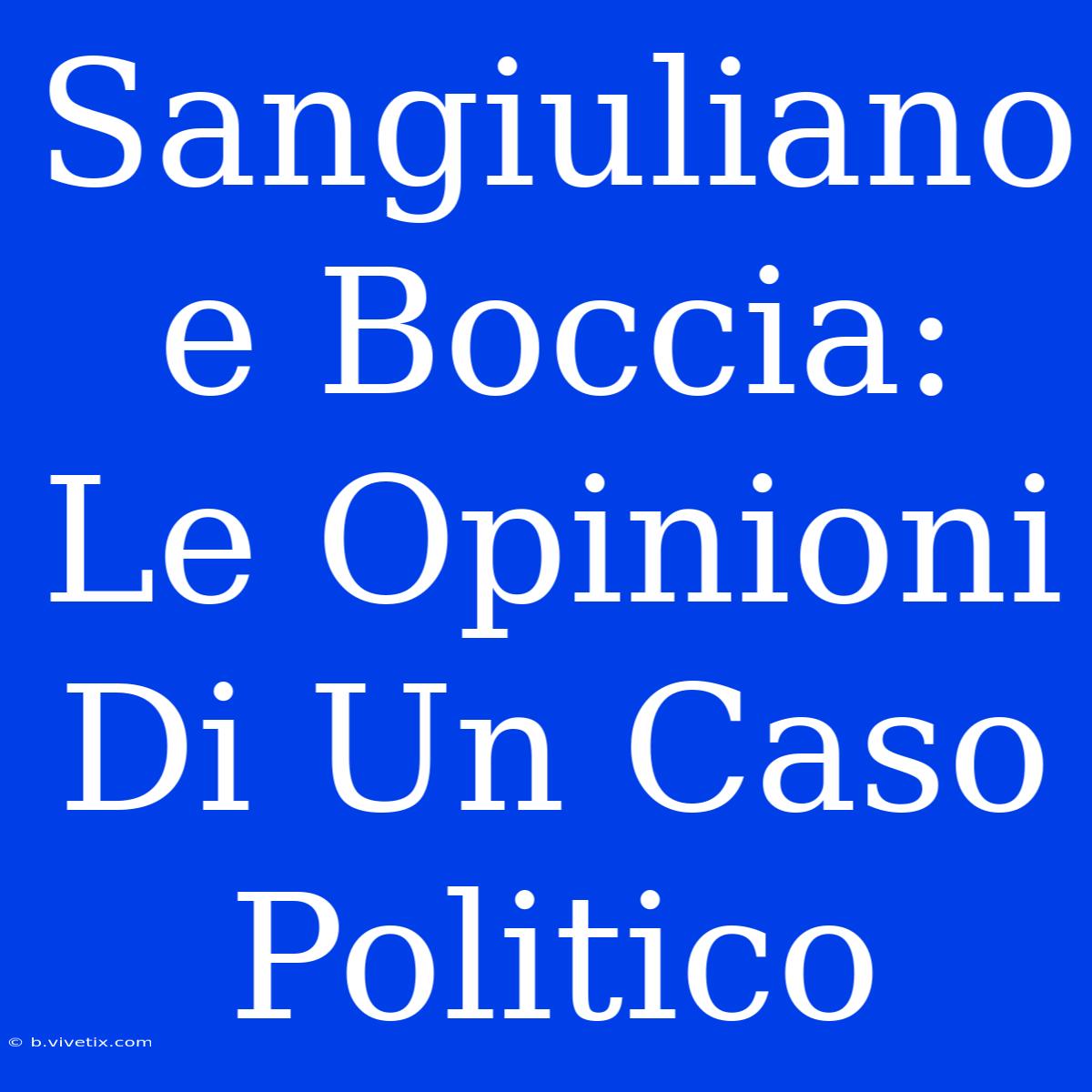 Sangiuliano E Boccia: Le Opinioni Di Un Caso Politico