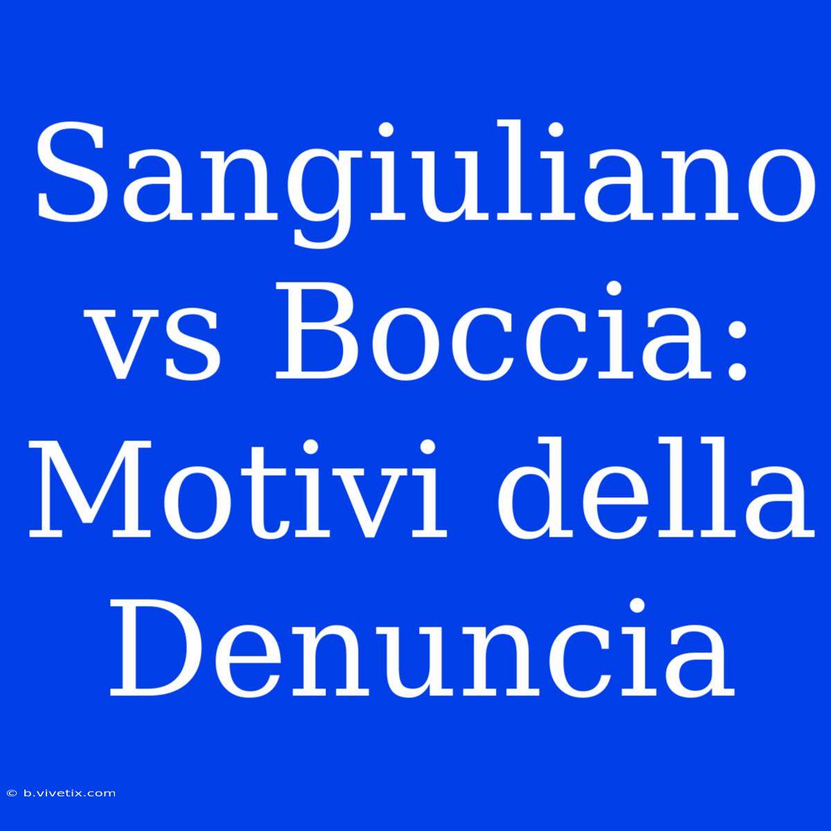 Sangiuliano Vs Boccia: Motivi Della Denuncia 