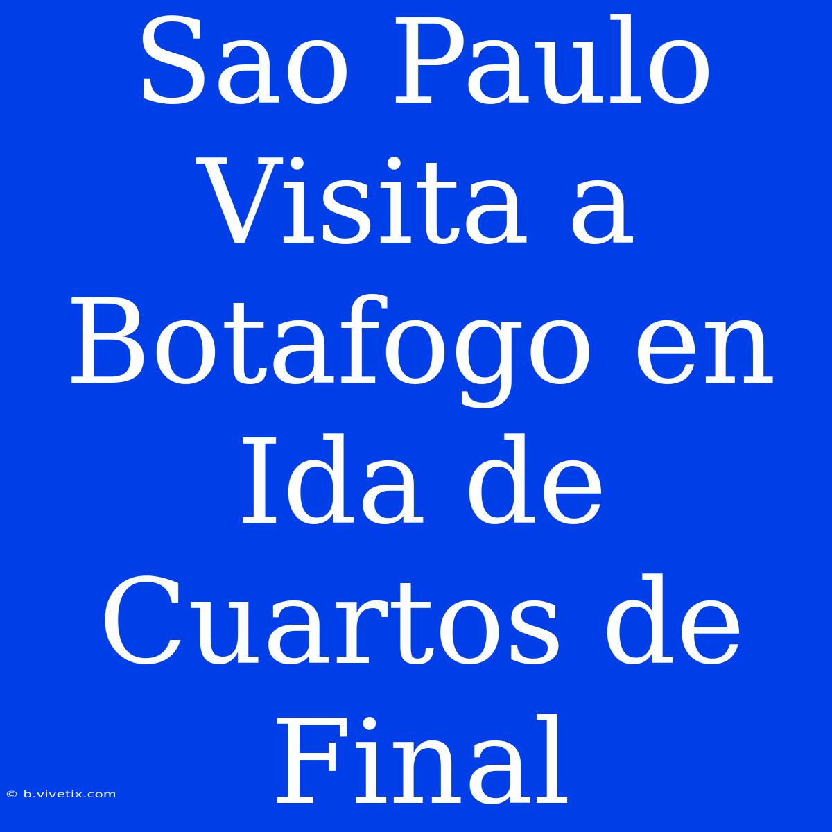 Sao Paulo Visita A Botafogo En Ida De Cuartos De Final