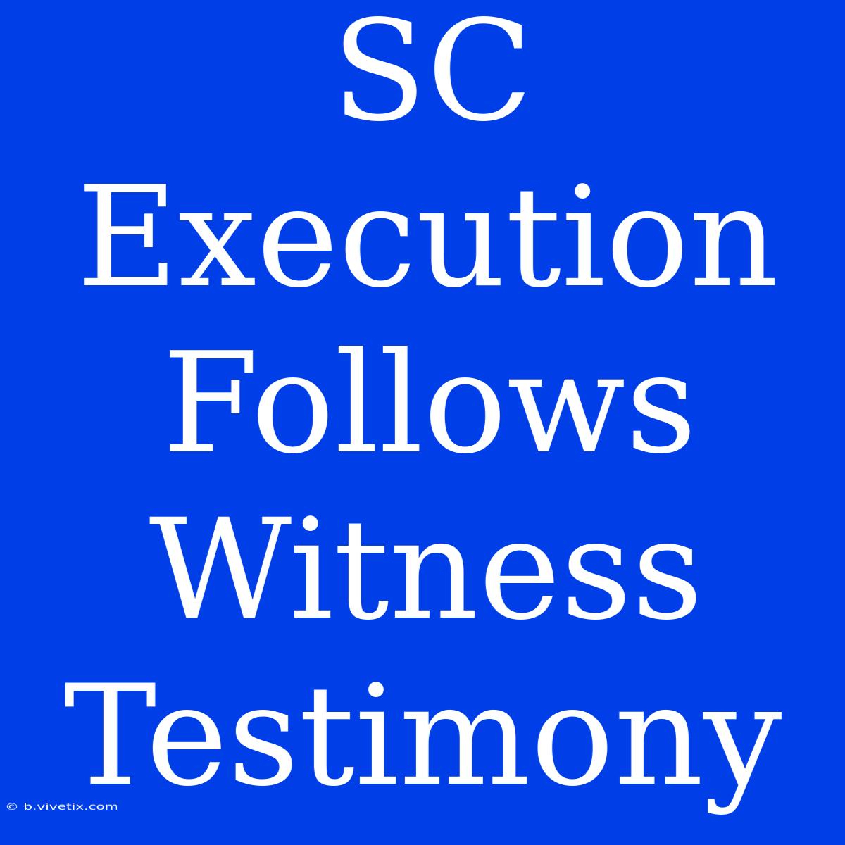 SC Execution Follows Witness Testimony