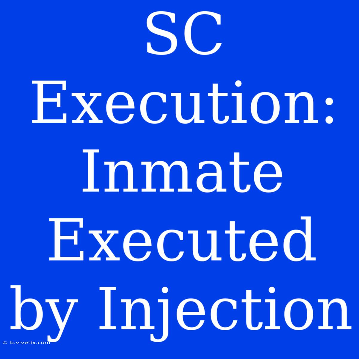 SC Execution: Inmate Executed By Injection