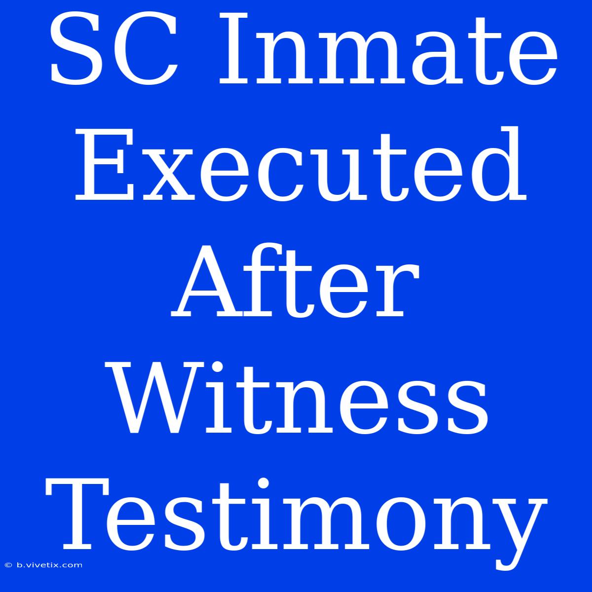 SC Inmate Executed After Witness Testimony