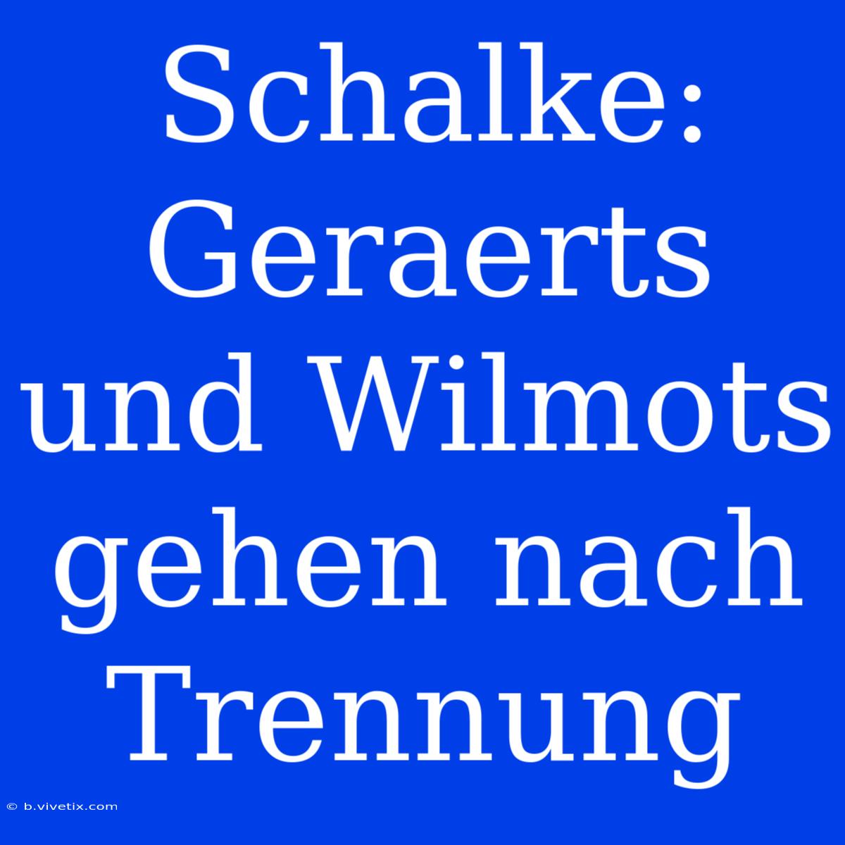 Schalke: Geraerts Und Wilmots Gehen Nach Trennung