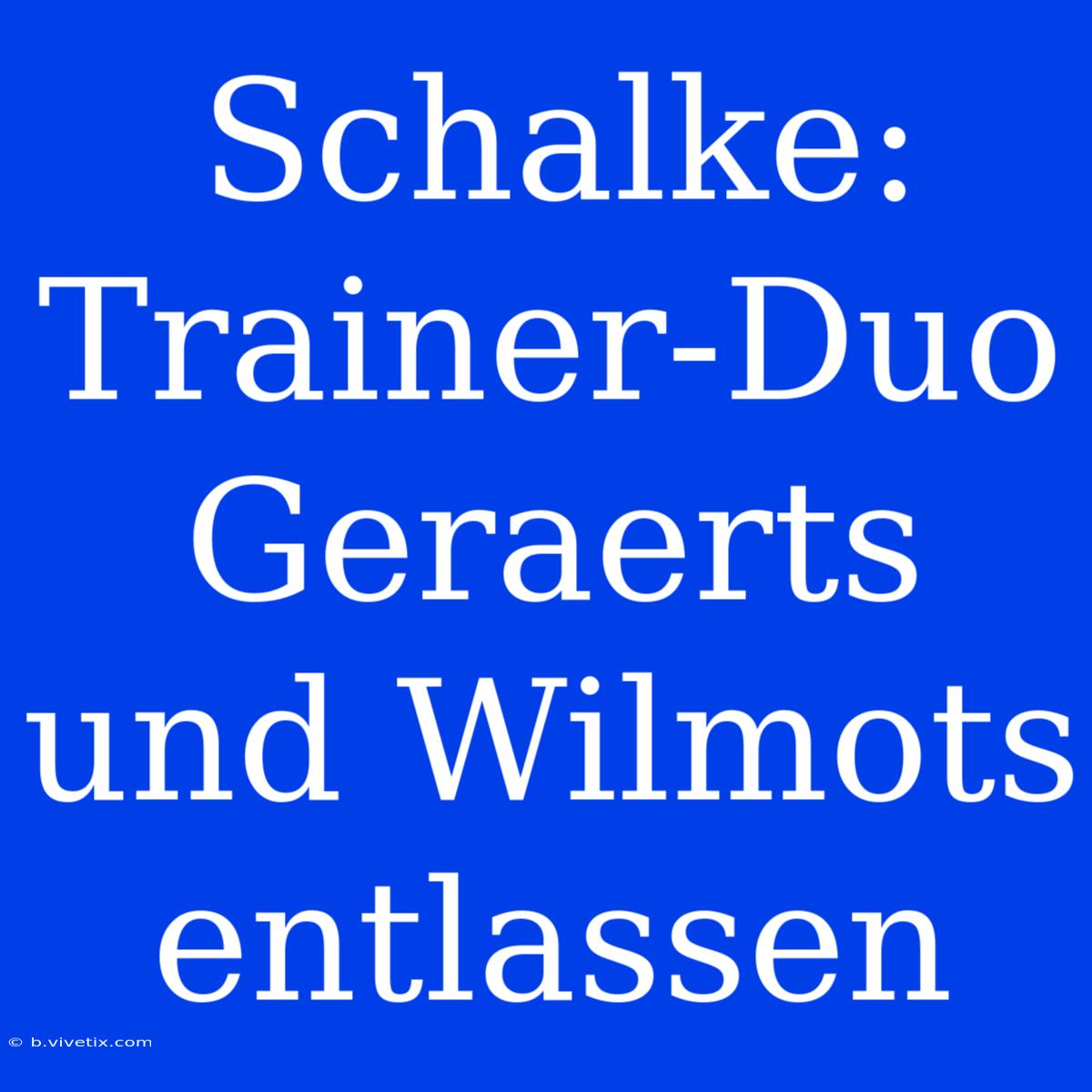 Schalke: Trainer-Duo Geraerts Und Wilmots Entlassen