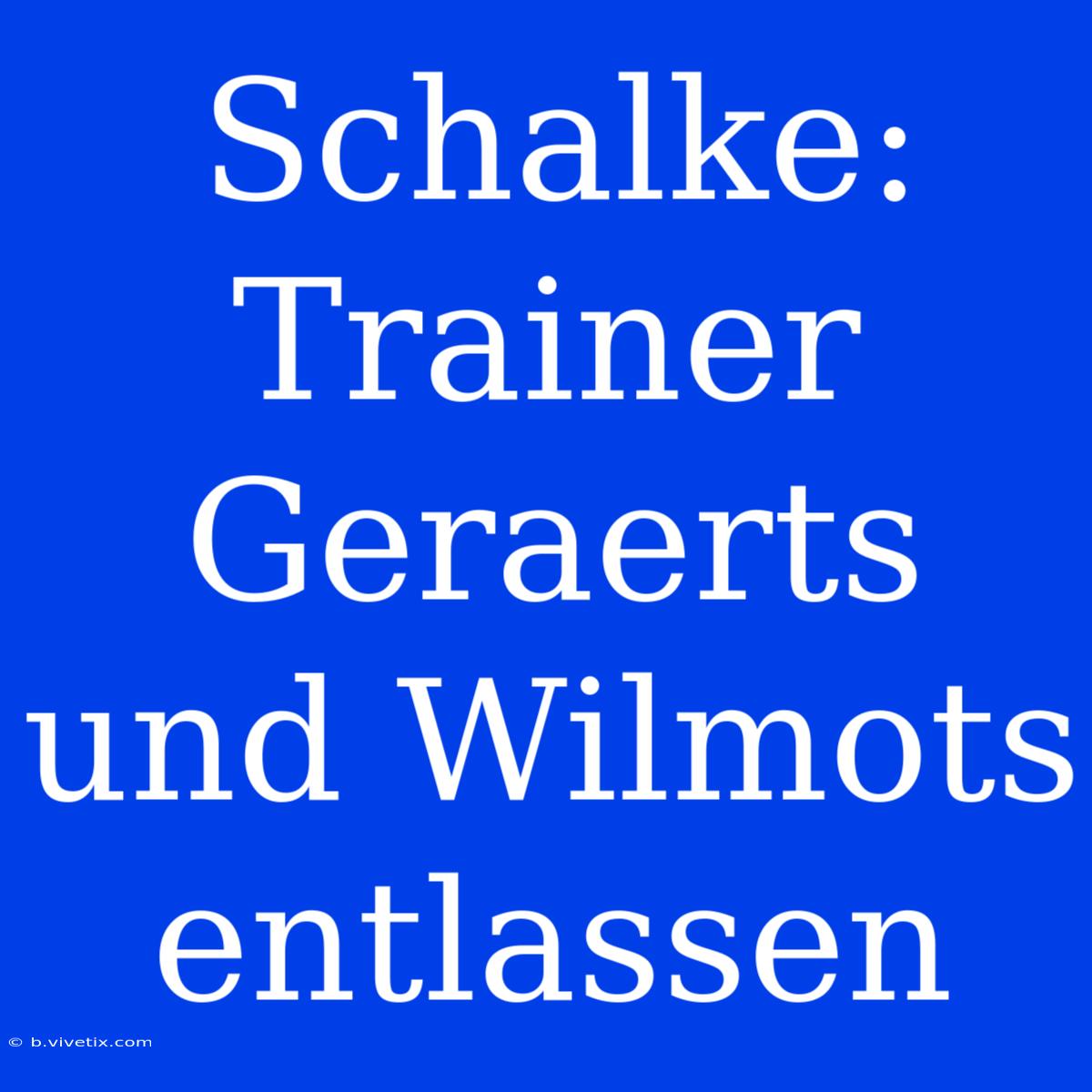 Schalke: Trainer Geraerts Und Wilmots Entlassen