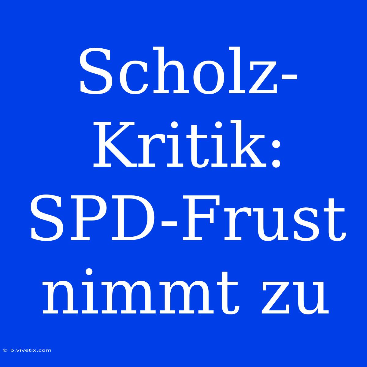 Scholz-Kritik: SPD-Frust Nimmt Zu