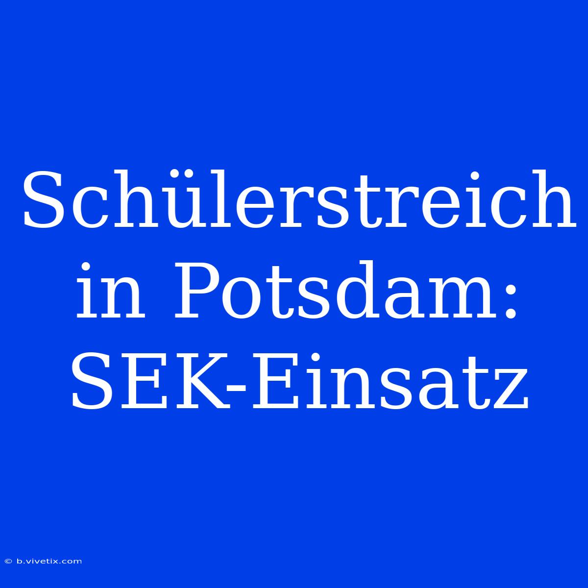 Schülerstreich In Potsdam: SEK-Einsatz  