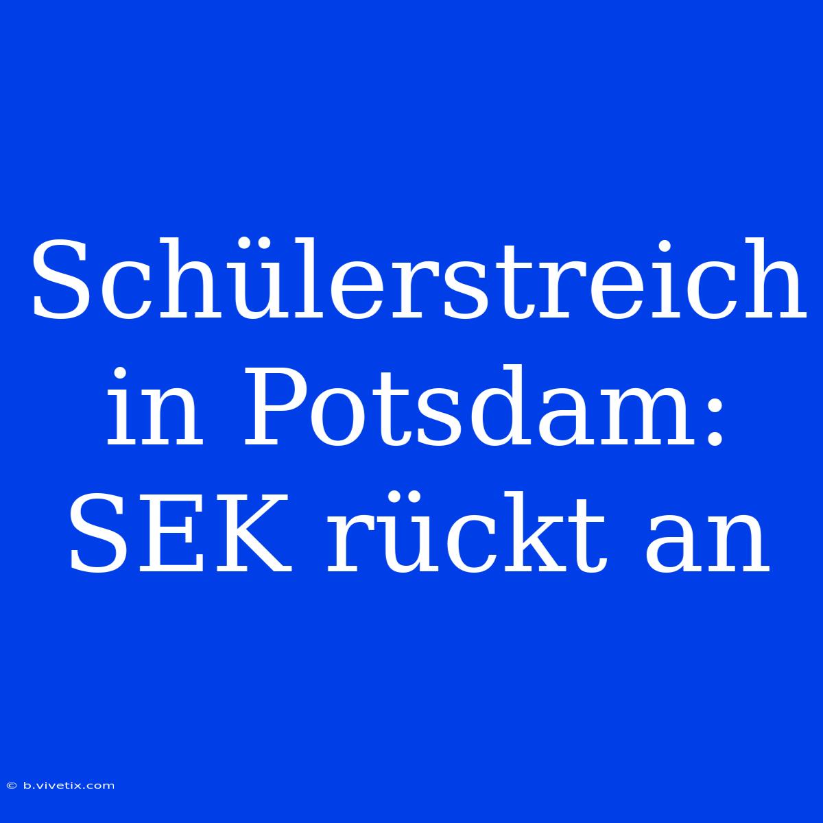 Schülerstreich In Potsdam: SEK Rückt An