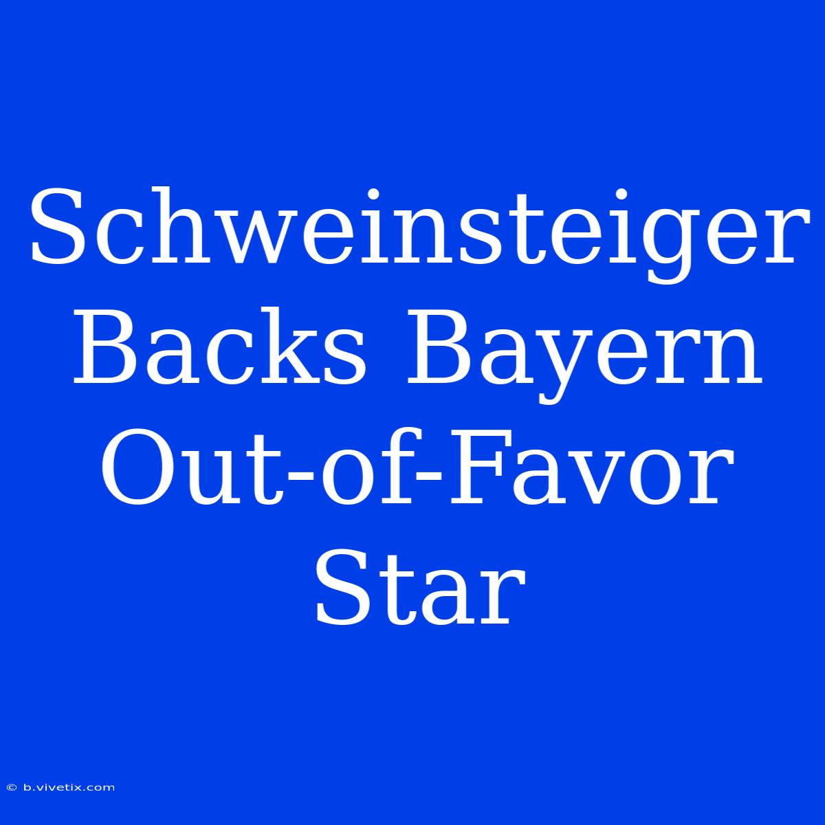 Schweinsteiger Backs Bayern Out-of-Favor Star