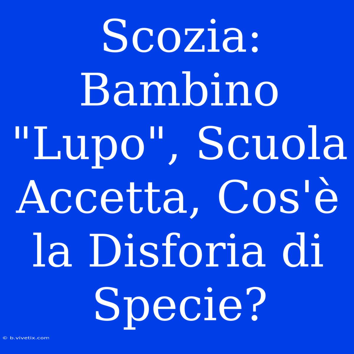 Scozia: Bambino 