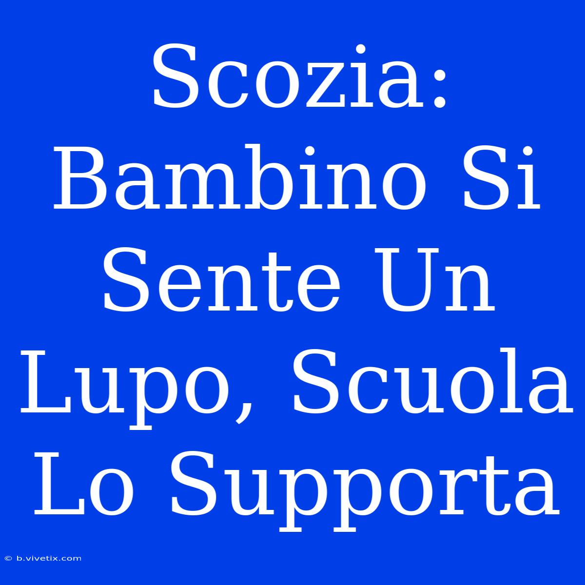 Scozia: Bambino Si Sente Un Lupo, Scuola Lo Supporta