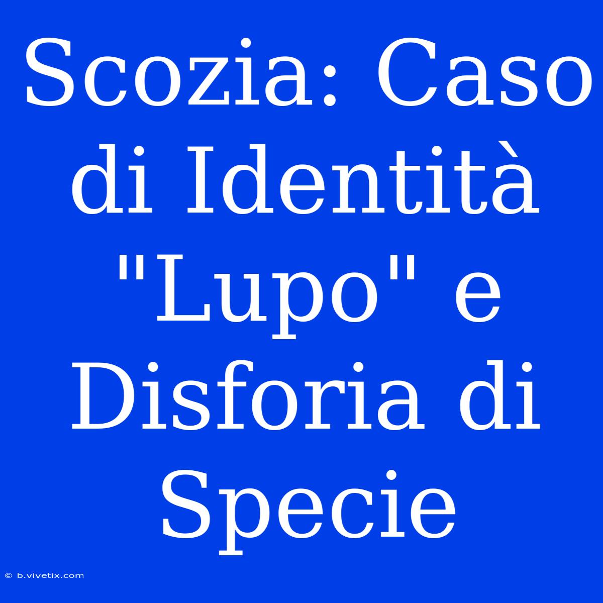 Scozia: Caso Di Identità 