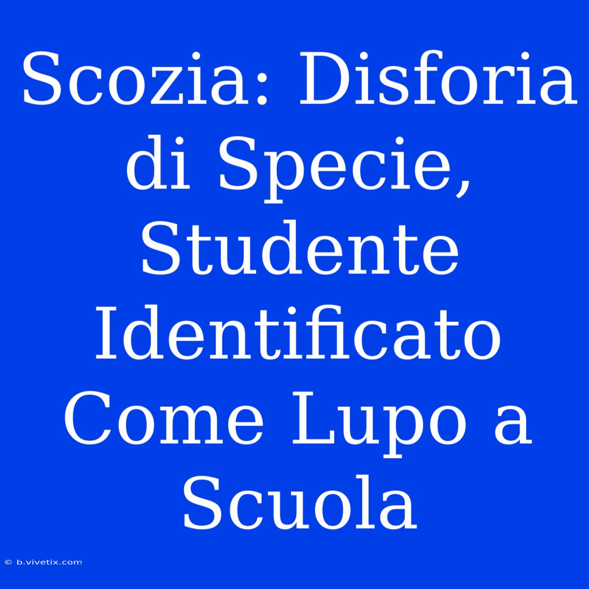 Scozia: Disforia Di Specie, Studente Identificato Come Lupo A Scuola