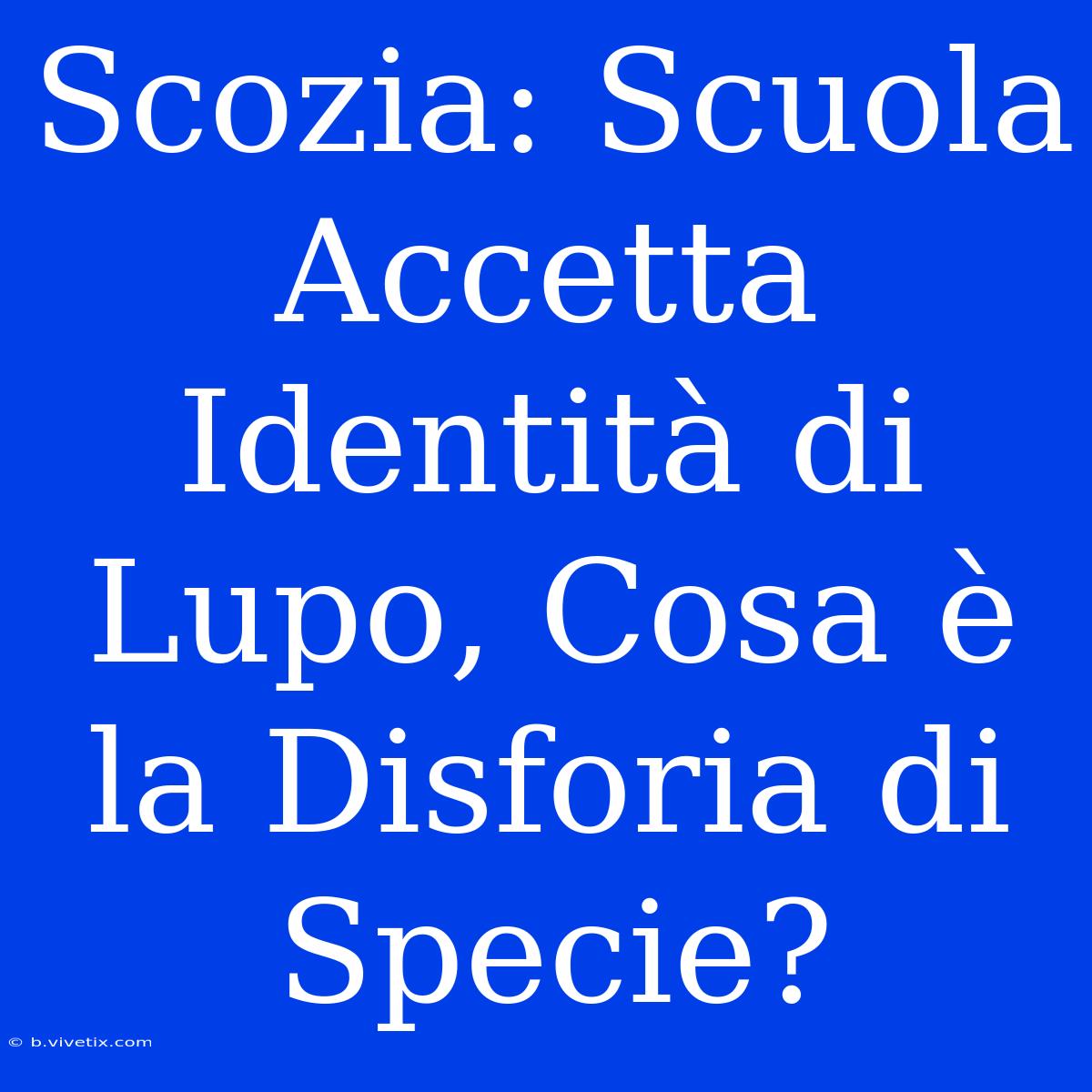 Scozia: Scuola Accetta Identità Di Lupo, Cosa È La Disforia Di Specie?