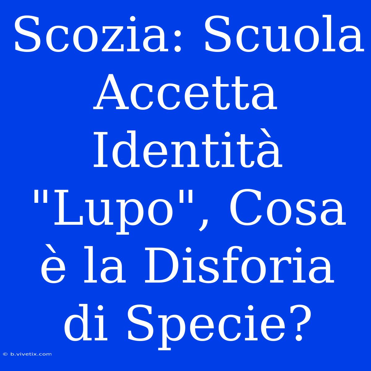 Scozia: Scuola Accetta Identità 