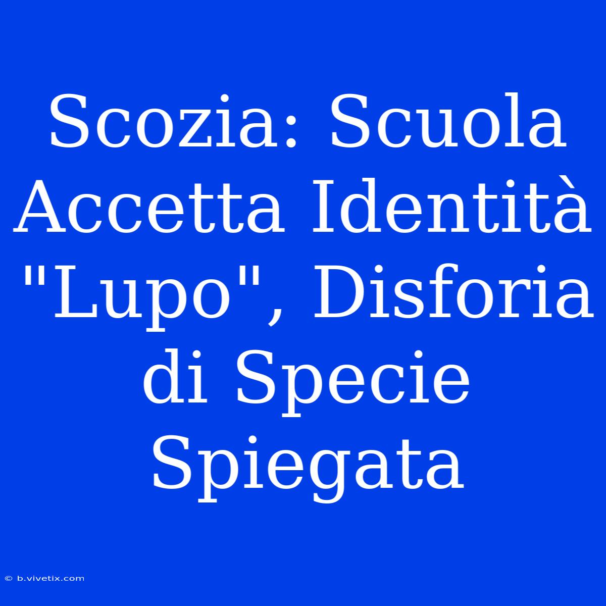 Scozia: Scuola Accetta Identità 