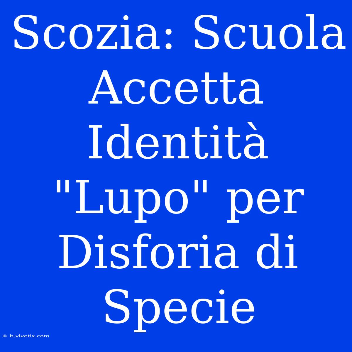 Scozia: Scuola Accetta Identità 