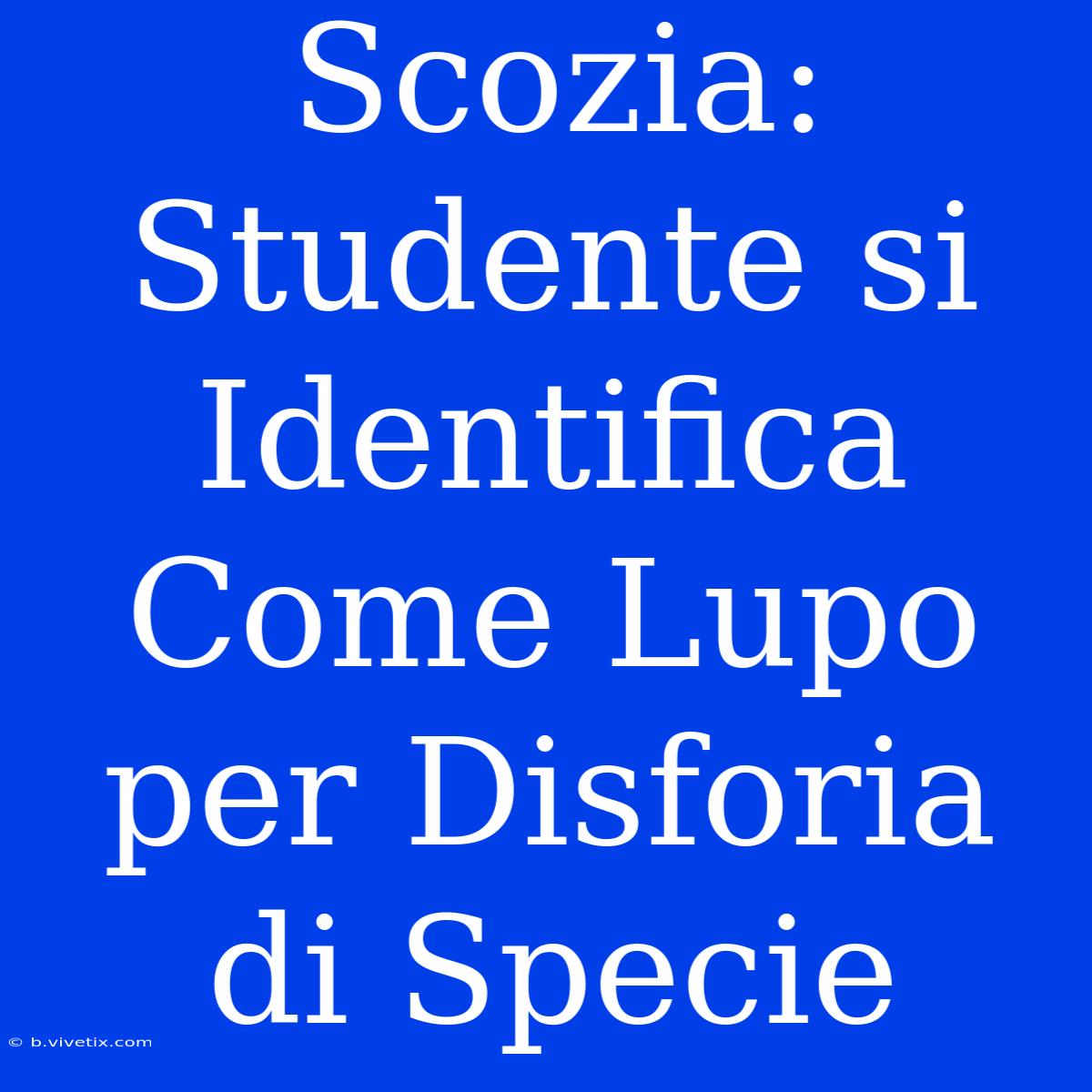 Scozia: Studente Si Identifica Come Lupo Per Disforia Di Specie