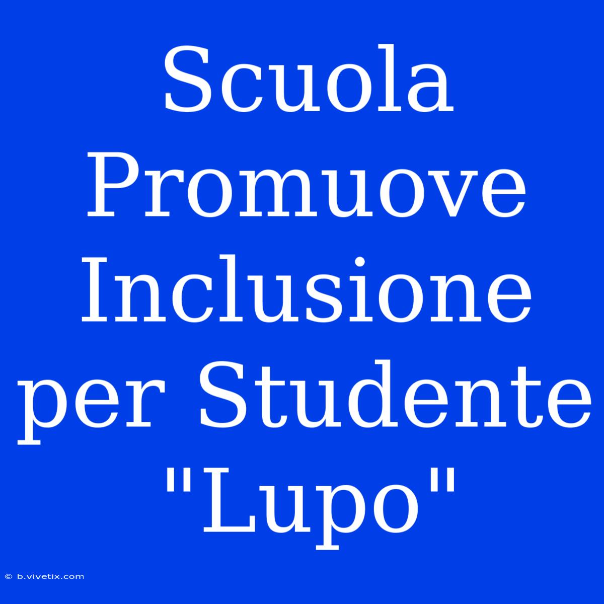 Scuola Promuove Inclusione Per Studente 