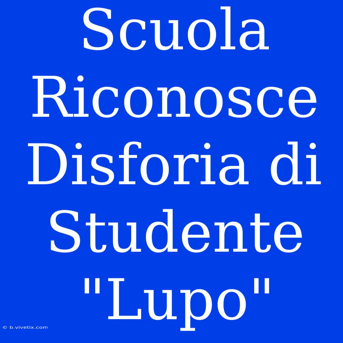 Scuola Riconosce Disforia Di Studente 